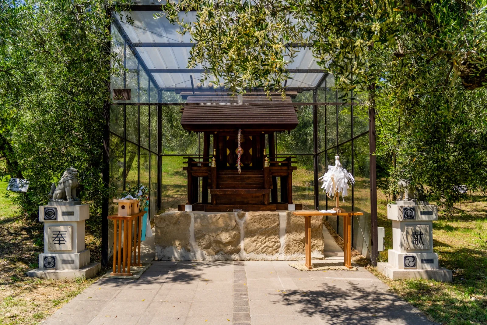 オリーブの木に囲まれたサンマリノ神社の本殿と狛犬